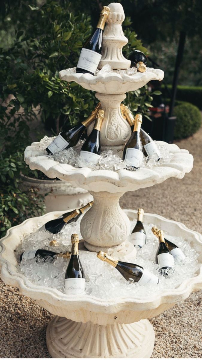 A stone fountain filled with ice and bottles of champagne, on gravel beside clipped box hedges.
